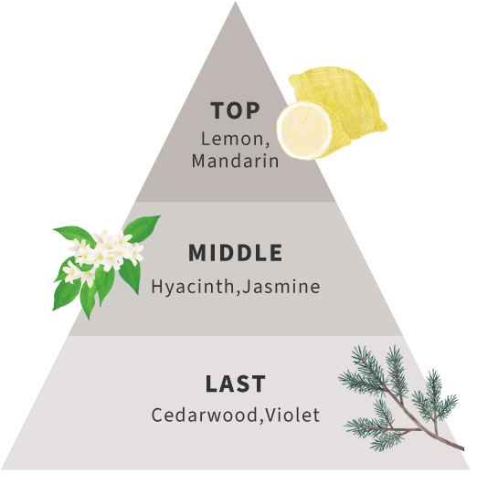 TOP Lemon,Mandarin MIDDLE Hyacinth,Jasmine LAST Cedarwood,Violet
