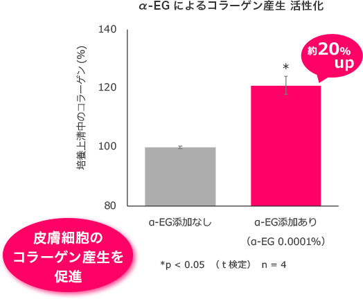 α-EGによるコラーゲン産生 活性化