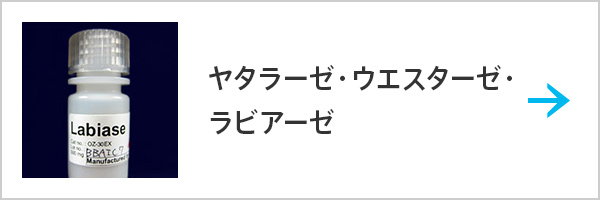 ヤタラーゼ・ウエスターゼ・ラビアーゼ