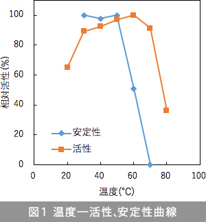 図1 温度―活性、安定性曲線