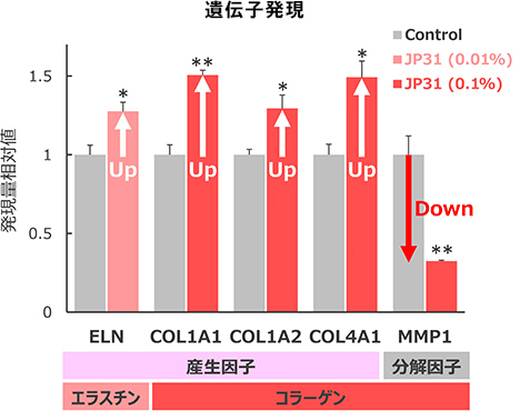 グラフ