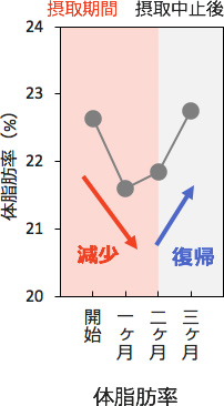 体脂肪（%）グラフ