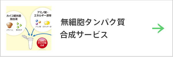 無細胞タンパク質合成サービス